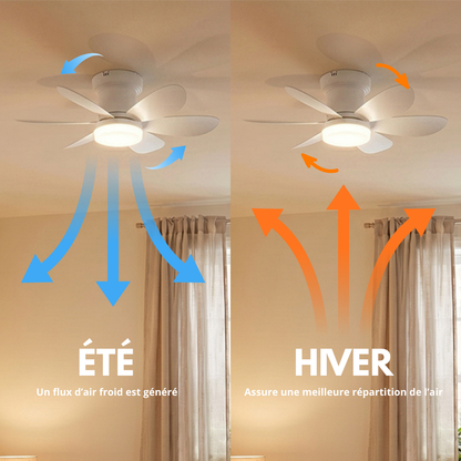Ventilateur de Plafond 52cm avec Lampe LED MISTRAL Petit Ventilateur Silencieux Chambre Enfant Bureau Cuisine Moteur DC Basse Consommation Réversible Ete Hiver avec Télécommande Blanc