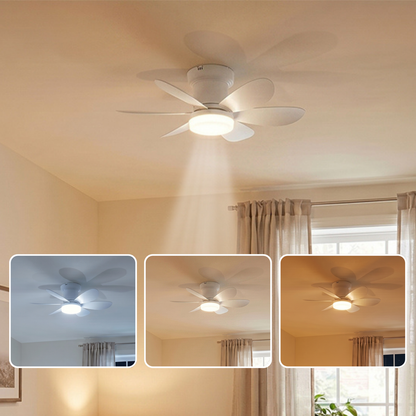 Ventilateur de Plafond 52cm avec Lampe LED MISTRAL Petit Ventilateur Silencieux Chambre Enfant Bureau Cuisine Moteur DC Basse Consommation Réversible Ete Hiver avec Télécommande Blanc