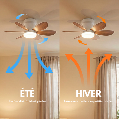Ventilateur de Plafond 52cm avec Lampe LED MISTRAL Petit Ventilateur Silencieux Chambre Enfant Bureau Cuisine Moteur DC Basse Consommation Réversible Ete Hiver avec Télécommande Couleur bois