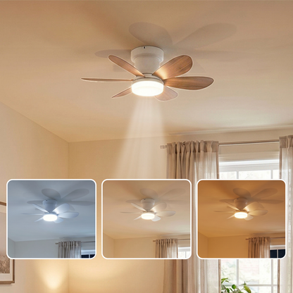 Ventilateur de Plafond 52cm avec Lampe LED MISTRAL Petit Ventilateur Silencieux Chambre Enfant Bureau Cuisine Moteur DC Basse Consommation Réversible Ete Hiver avec Télécommande Couleur bois