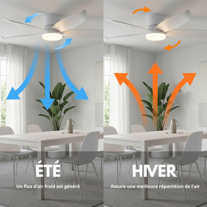 Ventilateur de Plafond CALYRO 107cm avec Éclairage LED 30W Puissant Grand Ventilateur Silencieux 34dB pour Salon Salle à Manger Chambre Moteur DC 30W Basse Consommation Réversible Mode Été Hiver avec Télécommande Plafonnier Moderne 2100 Lumens Blanc