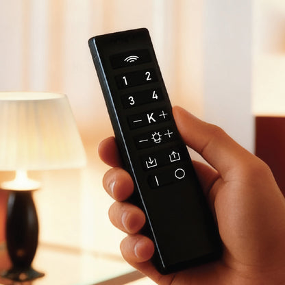 Télécommande REMOTE CONTROL Ubiqua H16 cm