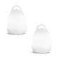 Lot de 2 Baladeuses sans fil waterproof et flottante LED blanc/multicolore dimmable LIBERTY C25 H24cm avec télécommande et socle à induction